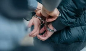 Шымкентте 2,5 млн доллар тұратын кәсіпті заңсыз иемденген күдікті ұсталды