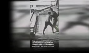 Шымкенттік шенеунік қарамағындағы қызметкерге қол көтерген