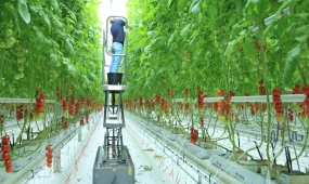 Алматы облысында коалиция мүшелері «Green Land Alatau» жылыжай кешенінің ұжымымен кездесті