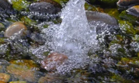 Ұлттық гидрогеологиялық қызмет Қазақстан аумағында 700-ден астам бұлақ анықтады