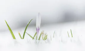 Прогноз погоды на 4 марта 2026 года в Астане, Алматы и Шымкенте