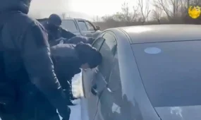 Группу скотокрадов задержали в Павлодарской области