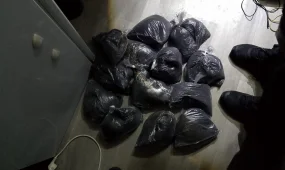 Костанайца задержали с опием и маком