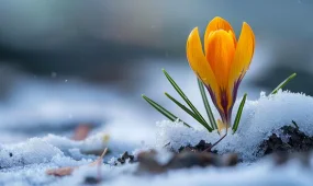 Дожди и снегопады накроют Казахстан перед праздниками