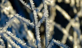 Бүгін ауа райы қандай болады?