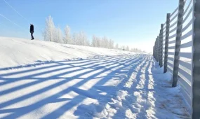 На трассе Астана – Кокшетау испытывают инновационную защиту от снежных заносов