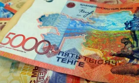 В Таразе выявлена невыплата пенсионных взносов на 300 млн тенге