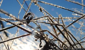 Снег, дождь и гололед: какая погода ожидается в городах Казахстана 6 марта