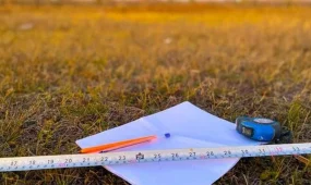 150 тысяч гектаров земель возвращены в госсобственность в Алматинской области