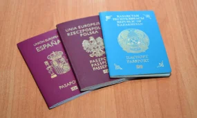 Абай облысында полиция көші-қон талаптарын бұзған азаматтарды анықтады