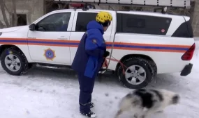 Женщина-кинолог с 20-летним стажем работает в ДЧС Павлодарской области