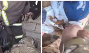 Трехлетний ребёнок упал в уличный туалет в Туркестанской области