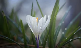 В Астане сильный ветер, в Алматы туман: погода в воскресенье, 8 марта