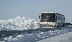 Астана–Қарағанды тас жолында автобус жолдан шығып кетті