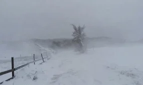 Дожди и снегопады накроют Казахстан: синоптики предупредили о непогоде