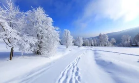 Қардағы іздер құтқаруға көмектесті