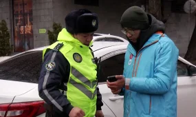 Алматыда 10 мыңға жуық курьерге айыппұл салынды