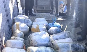 Мужчину с 200 килограммами наркотиков задержали в Костанайской области