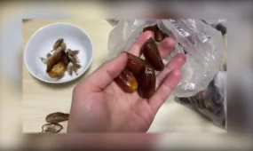 Құрмадан құрт шықты