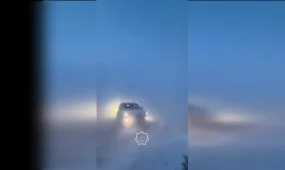 Павлодарда боранда адасып кеткен малшы көз жұмды