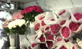 Тюльпан за 100 тенге: в соцсетях массово распродают цветы после праздников