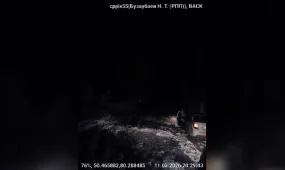 Абай облысында полицейлер қолайсыз ауа райында көлігі суға батқан жүргізушіге көмектесті