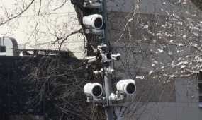 Непристегнутый ремень и телефон в руках водителей будут фиксировать камеры ИИ