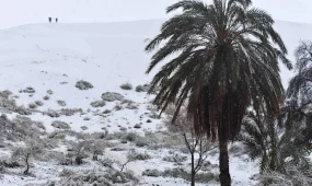 Снег в пустыне Сахара: редкое природное явление удивило туристов