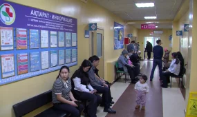 2050 жылға қарай әлемде әрбір төртінші адам есту қабілетінен айырылуы мүмкін