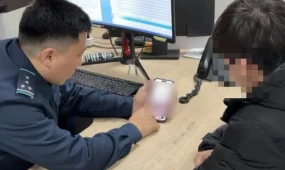 Фейковые магазины в сети: в Туркестанской области задержан подозреваемый в интернет-мошенничестве