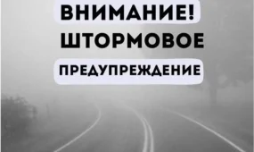 Снег, туман и порывистый ветер: синоптики предупреждают о непогоде