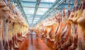 Қазақстан бір аптада БАӘ-ге 7 тонна қой етін экспорттады