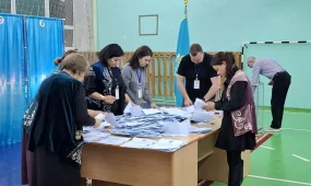 На участках референдума не допущено грубых нарушений общественного порядка, - МВД