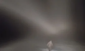 Пастух почти двое суток плутал в тумане в Костанайской области