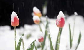 Потепление идет в Казахстан