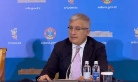 ТМҰ бақылаушылары: референдум ашық әрі заңға сай өтті