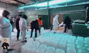 Әкесі мен баласы есірткі зертханасын ұйымдастырған