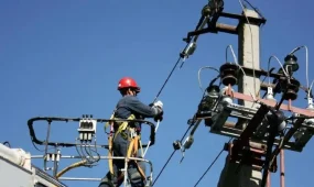 Елде 17 мың шақырым электр желісі жаңартылады