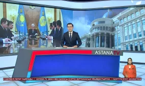 Президент жаңа Конституцияны іске асыру жөнінде жұмыс кеңесін өткізді