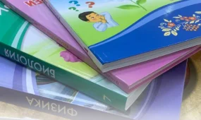 Казахстан пересмотрит образовательные стандарты: акцент на IT, фундаментальные науки и новые учебники