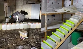 Шымкентте есірткі зертханасы жойылды: мефедронның 8 мың дозасының таралуына жол берілмеді