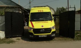 Алматы облысында адам өлтіріп, бала ұрлаған қылмыскер 25 жылға сотталды