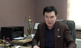 "60-тан астам заңға, оның ішінде негізгі кодекстерге түзету енгізіледі"- заңгер