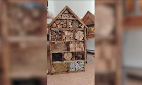 Отели для насекомых: уникальный эко-проект, не имеющий аналогов в СНГ, запустили в Костанае