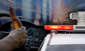 Павлодар облысында бір тәулікте 360 құқық бұзушылықтың жолы кесілді