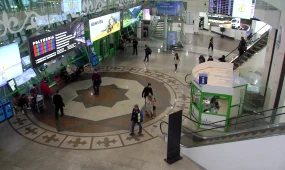 "Домбру - в самолёт": правила перевозки музыкальных инструментов разрабатывают в Минтранспорта