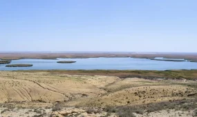 Высохшее дно Арала озеленяют с помощью авиационных технологий