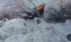 ЧП в Петропавловске: мужчина упал в овраг