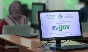 eGov-тағы жаңа жүйе: еңбек иммигранттарына рұқсат алу жеңілдеп, құжат азайды