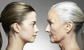 Нашумевший препарат от старения впервые проверят на человеке